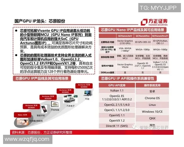 上海乒乓球队的精神风貌与发展历程深度解析