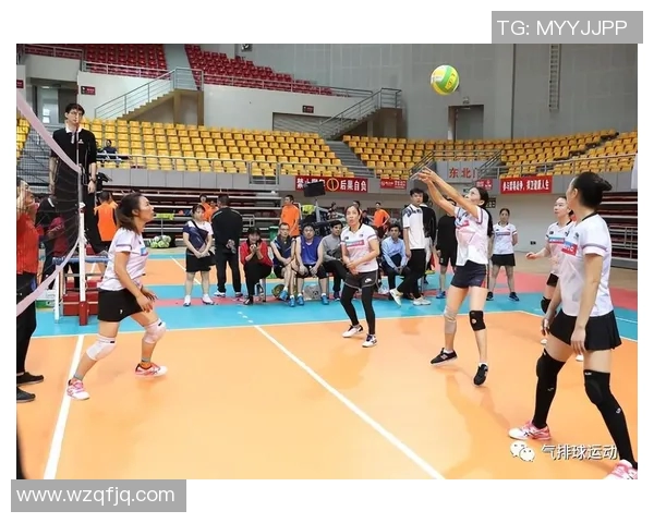 武汉排球队战术创新引领排球新潮流成就辉煌排名